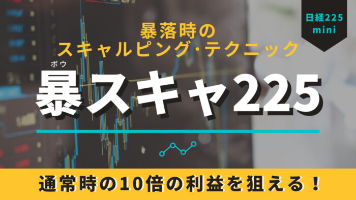 (有)ウィステリアコムデザイン/暴スキャ225