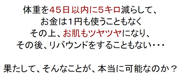 中村 晃三/１円のお金をかけることもなく、健康になるダイエット方法