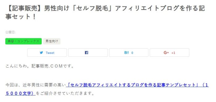 株式会社天空/男性向け「セルフ脱毛」アフィリエイトブログを作る記事セット！