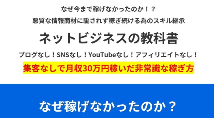 山田 昴/ネットビジネスの教科書