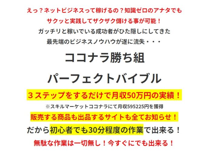 青木 伴由/ココナラ勝ち組パーフェクトバイブル