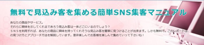 二松 馨/無料で見込み客を集める簡単SNS集客マニュアル