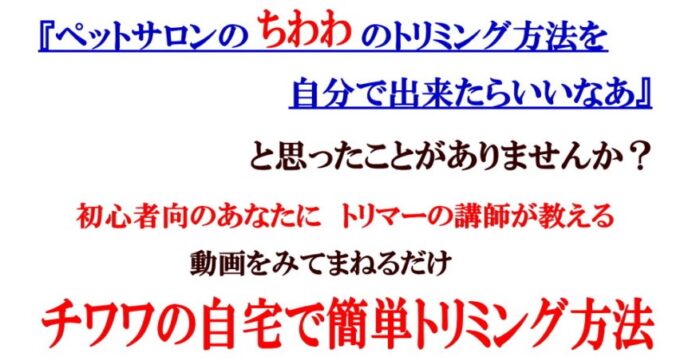 小林 憲二/初心者のためのチワワの自宅で簡単トリミングDVD