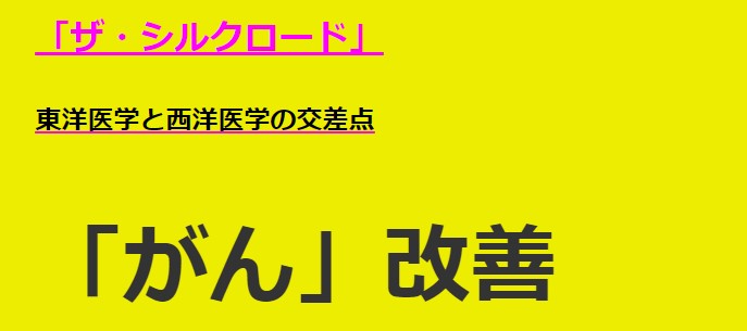 松本 圭司/ザ・シルクロード「がん」改善編！