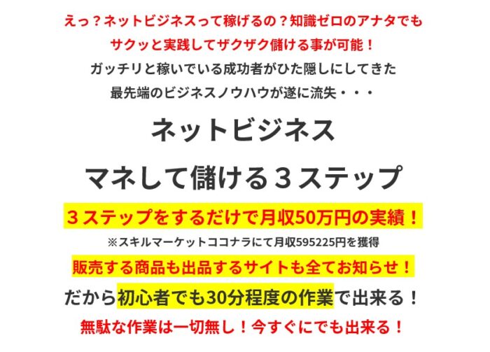 横川 忠司/ネットビジネス  マネして儲ける３ステップ