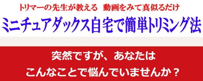 小林 憲二/ミニチュアダックスの自宅で簡単トリミングDVD