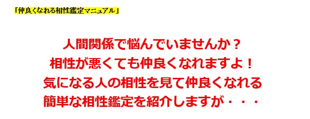 野村 章裕/仲良くなれる相性鑑定マニュアル