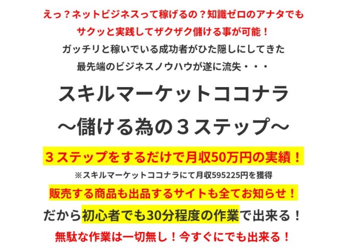 鈴木 達/スキルマーケットココナラ  ～儲ける為の３ステップ～