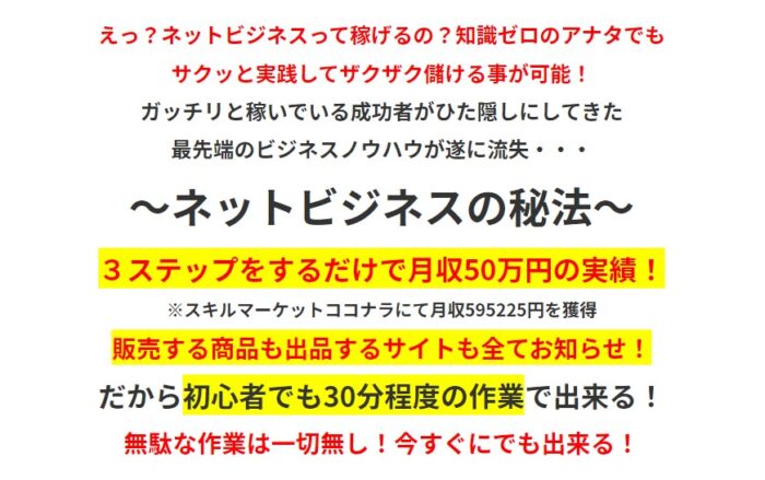 株式会社インフォプロモーション/ネットビジネスの秘法