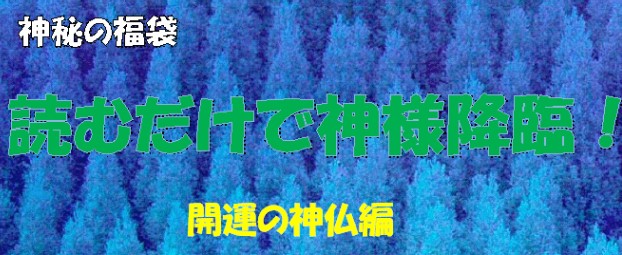 (有)信州屋/「読むだけで神様降臨！」開運の神仏編