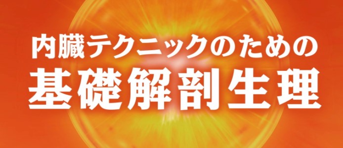 日本手技学院有限責任事業組合/内臓テクニックのための基礎解剖生理