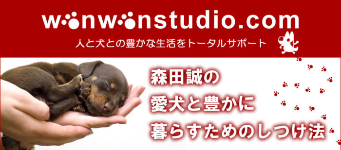 森田 誠/「森田誠の愛犬と豊かに暮らすためのしつけ法」　DVD　2枚セット