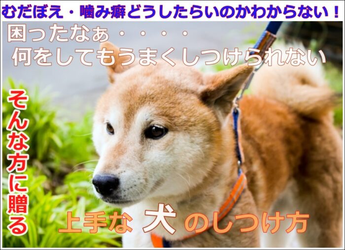 平山 正/上手な犬のしつけ方