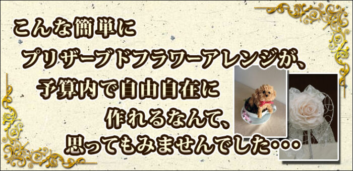 株式会社　ダーザイン/鈴木紅紗のプリフラビギナーズDVD「プリザーブドフラワーマスター初心者用」