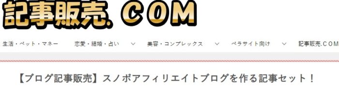 株式会社天空/スノボアフィリエイトブログを作る記事セット！