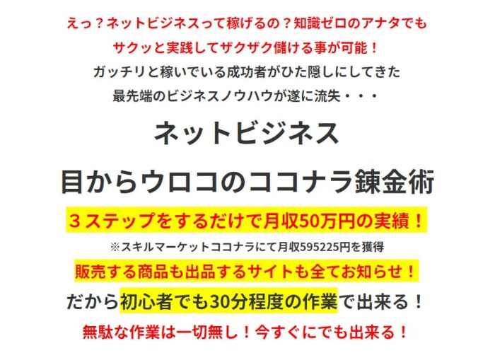 藤澤 真理/ネットビジネス　目からウロコのココナラ錬金術