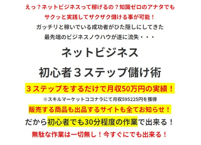 柳本 健一/ネットビジネス初心者３ステップ儲け術