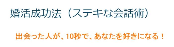 一般社団法人心理セラピー・カウンセリング協会/婚活成功法！10秒で心を掴む,魅惑のコミュニケーション心理学講座（ セミナー録画教材） 出会った人が、直ぐにあなたを好きになる会話スキルを学ぶセミナーをライブ録画した動画です。   