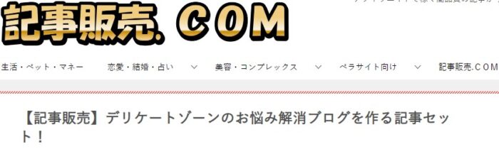 株式会社天空/【特典付き】デリケートゾーンのお悩み解消ブログを作る記事セット！