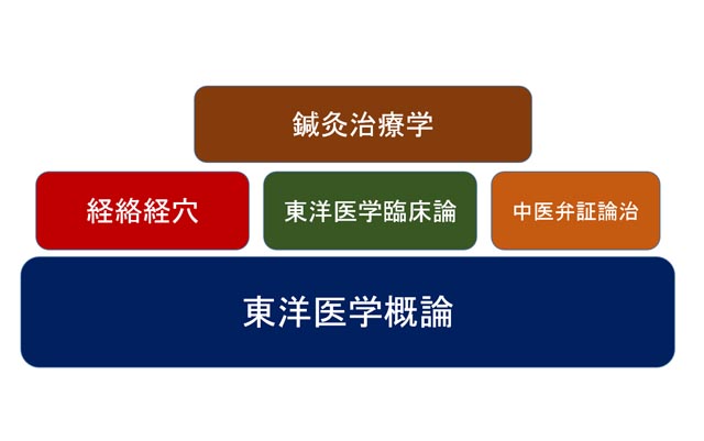 鎌田 剛/TCMA通信講座 中医基礎学