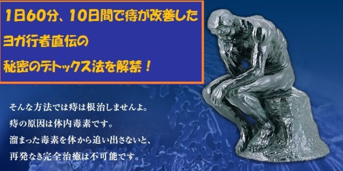 株式会社インフォプロモーション/１０日間で痔を改善するデトックスエキササイズ