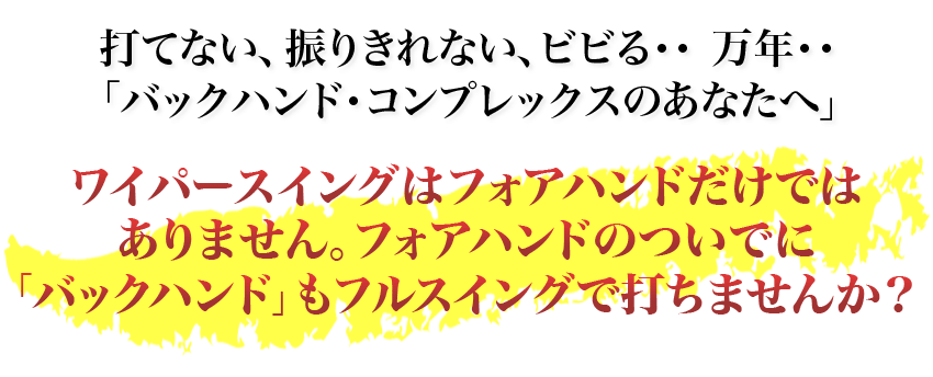 株式会社リアルスタイル　Real Style/新井流ワイパーZERO 両手バックハンド編【CRAY09ADF】