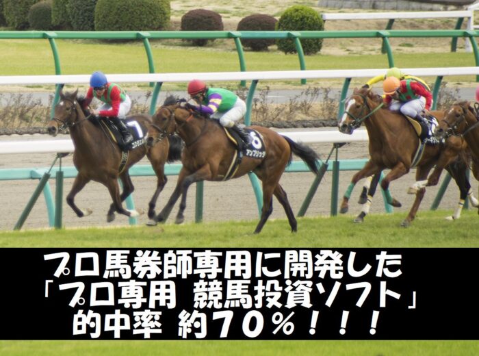 株式会社エターナル/「プロ専用　競馬投資ソフト」JRA 中央競馬版